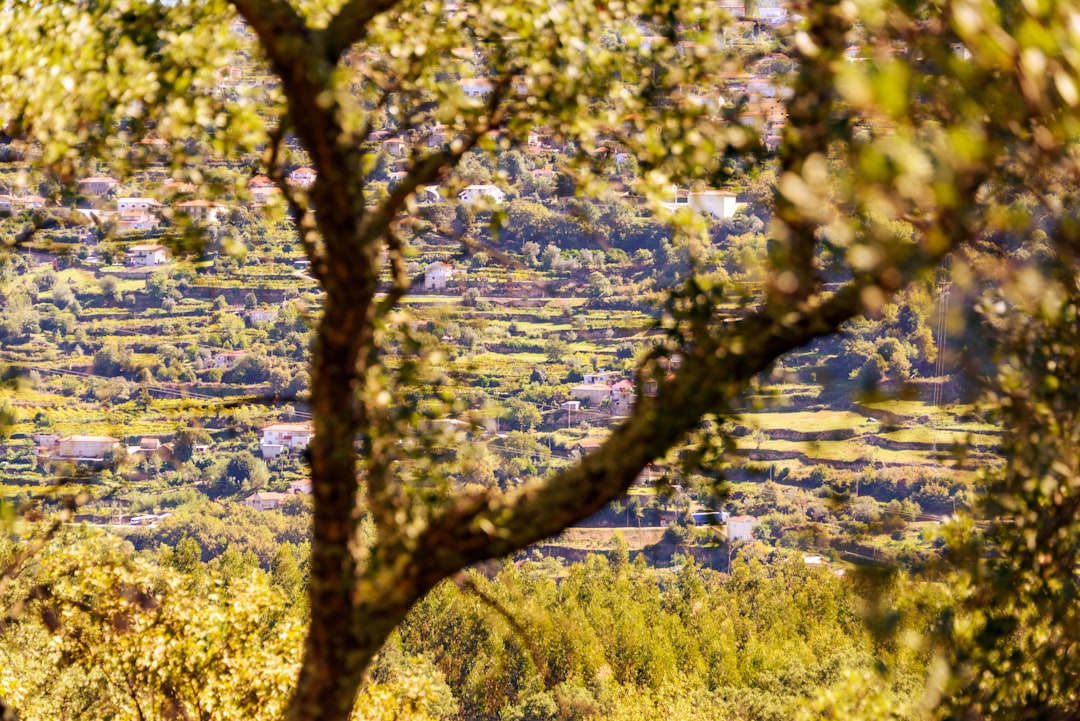 View over the Rio Douro from the ecotourism resort "Santa Cristina Country Guesthouse"